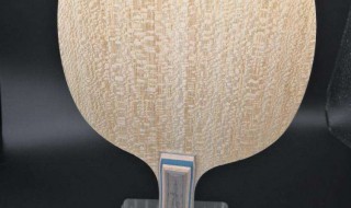 蝴蝶王底板如何配套胶 教练教你这样配准没错