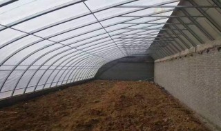 大棚滴水怎么办 看完你就明白了