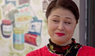 乡村爱情12一月十五在哪里播出啊? 有哪些主演呢