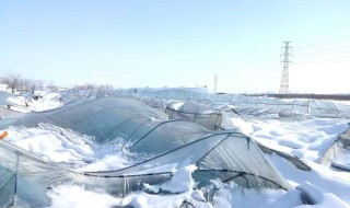 雪灾防御措施 快来看看吧