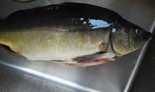 鱼线怎么抽 简单步骤分享给大家