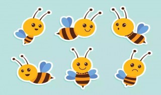 两只小蜜蜂划拳怎么玩 看了就知道