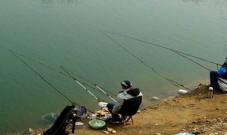 麝香酮钓鱼用法 麝香酮钓鱼必备三步骤