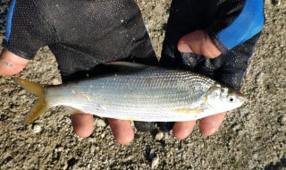 鱼钓可以带上地铁吗 想去远一点的地方钓鱼