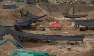 西安的大学有古墓的都有哪些? 西安有哪些大学有古墓