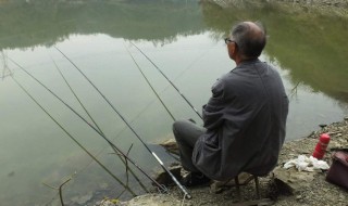 台钓刺鱼手法 学会这几个技巧钓鱼更省力