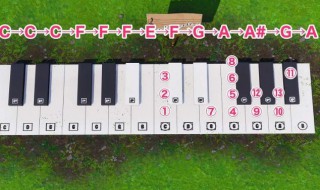 钢琴简谱怎么看? 新手怎么学钢琴