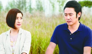 马向阳下乡记电视剧有续集吗 电视剧马向阳下乡记讲的是什么