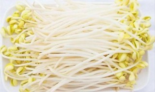 豆芽太多吃不完怎么办 下面6个方法教你解决