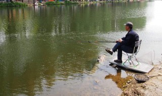 冬钓鲫鱼加粗尾怎么调漂 具体调漂方法