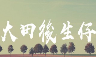 大田后生仔是哪个电影插曲 一首跟着节奏就能哼唱的歌曲