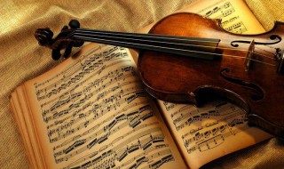 能不能简单说一下小提琴的制作过程? 手工自制简易小提琴