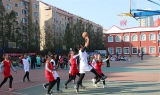 小学的篮筐有多高 小学的篮筐多高解答和扩展