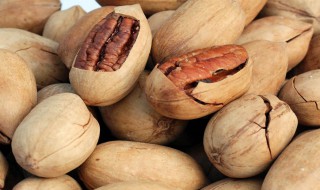 碧根果是什么树的果实 碧根果的介绍