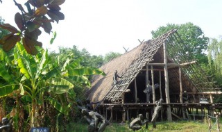 河姆渡人种植的农作物 河姆渡人种植的农作物品种