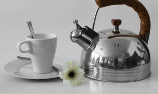 白醋可以去电水壶里的水垢吗 还有什么方法可以除去水垢