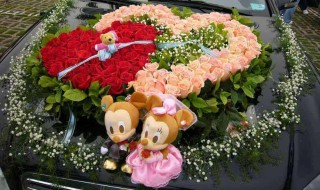 鲜花搭配技巧？ 快来看看