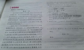 初一语文阅读理解答题技巧 答案如下