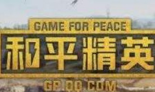 和平精英体验服怎么登录进去 有玩过的吗