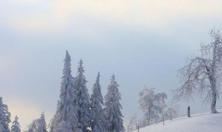 冬季让心情愉悦的方法 冬天开心的10个方法简单介绍