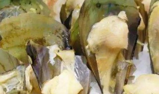 剥好的海蛎怎么保存 如何储存海蛎