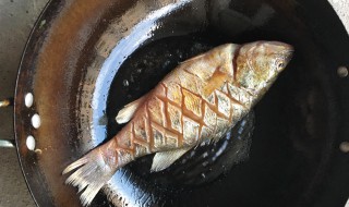 做鱼的全部步骤 一般做鱼的步骤