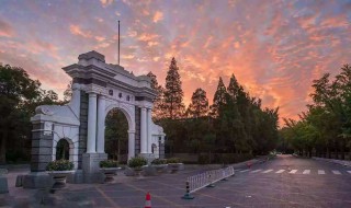 985头是什么意思 怎样解释985头