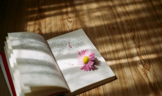 命带桃花什么意思 命带桃花的意思