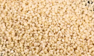 高梁米怎么吃 怎么吃高梁米