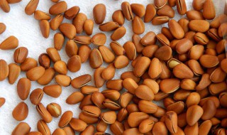 家庭怎样炒松子能开口 需要怎么炒松子