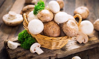 蚝油蘑菇如何做 制作蚝油蘑菇的方法