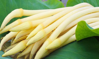 藕尖怎么保存 藕尖保存方法介绍