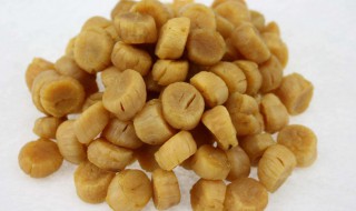 干瑶柱怎么保存 干瑶柱保存方法介绍