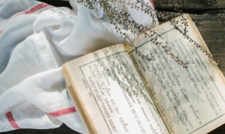 后来居上的上是指什么 后来居上造句