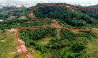 坟地风水禁忌事项 坟地风水有哪些禁忌事项