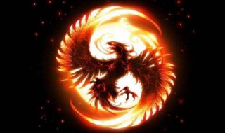 朱雀代表什么 朱雀有什么寓意