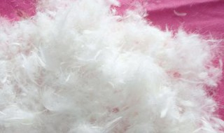 羽绒怎么清洗消毒 羽绒清洗消毒的方法