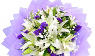 代表友情送什么花 一般送几朵花代表友情