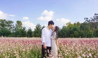 红茶女生是什么意思 红茶女生解释