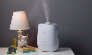 增加空气湿度的最好方法 如何有效增加空气湿度