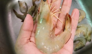 活虾选购技巧 挑选鲜虾的技巧