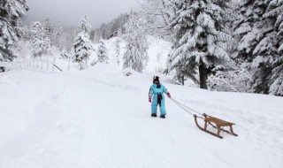 适合下雪发的文艺版文案 适合下雪发的文艺版文案推荐