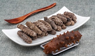 北美海参的泡发方法 北美海参如何泡发