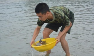 下河抓鱼有什么技巧 抓鱼有什么技巧