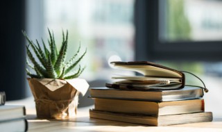 日子要好好过的唯美句子 日子要好好过的句子精选