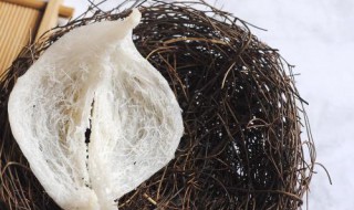 送燕窝代表什么意思 送燕窝有什么意思