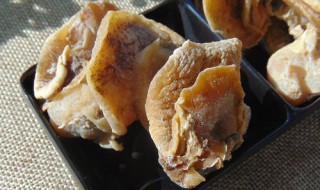 海螺干泡发的正确方法 干海螺肉如何泡发