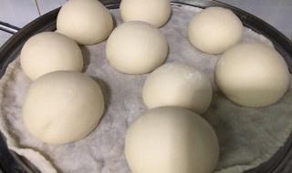 用老面蒸馒头教程 用老面蒸馒头方法介绍