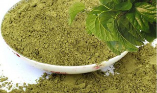 桑叶粉制作教程 桑叶粉制作方法如下