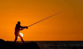 秋冬季钓白条技巧 秋冬季如何钓白条